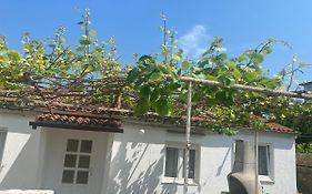 Apartman Nela