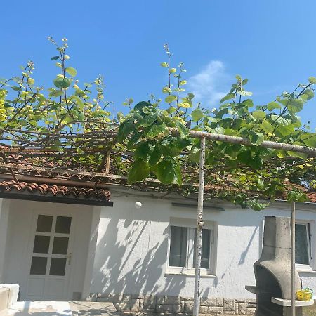 Apartament Apartman Nela Poreč Zewnętrze zdjęcie