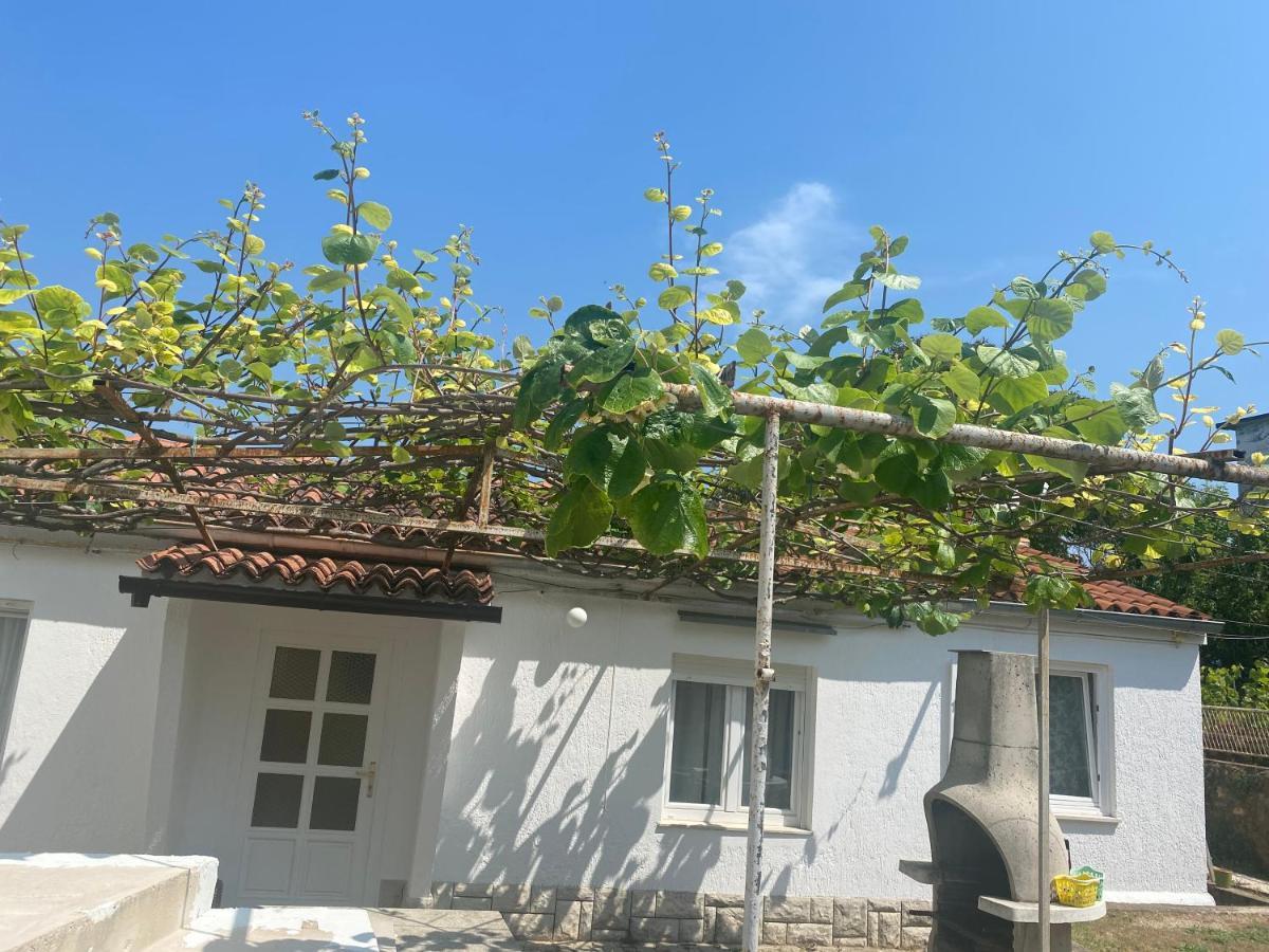 Apartament Apartman Nela Poreč Zewnętrze zdjęcie